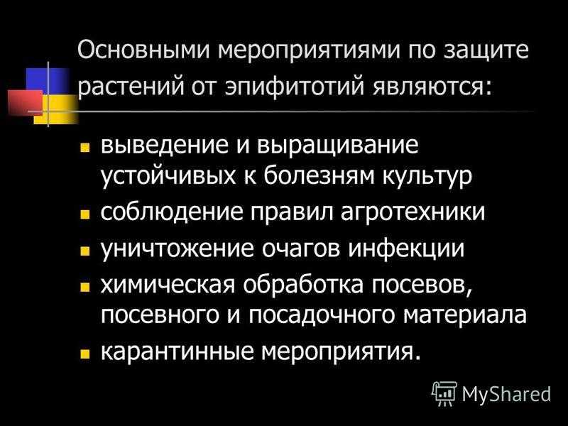Панфитотия