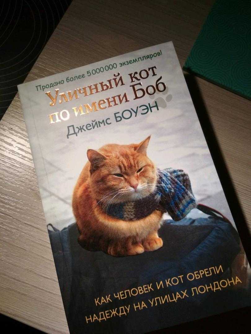 Уличный кот по кличке боб сюжет фильма читать онлайн
