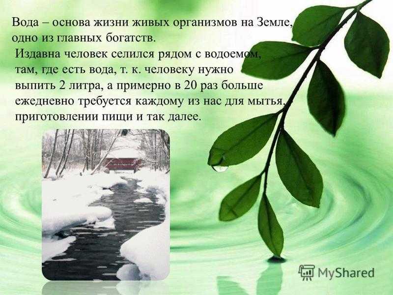 Реферат: экологические проблемы татарстана
