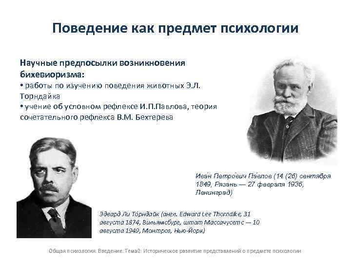 Поведенческий подход: понятие, суть, особенности и представители