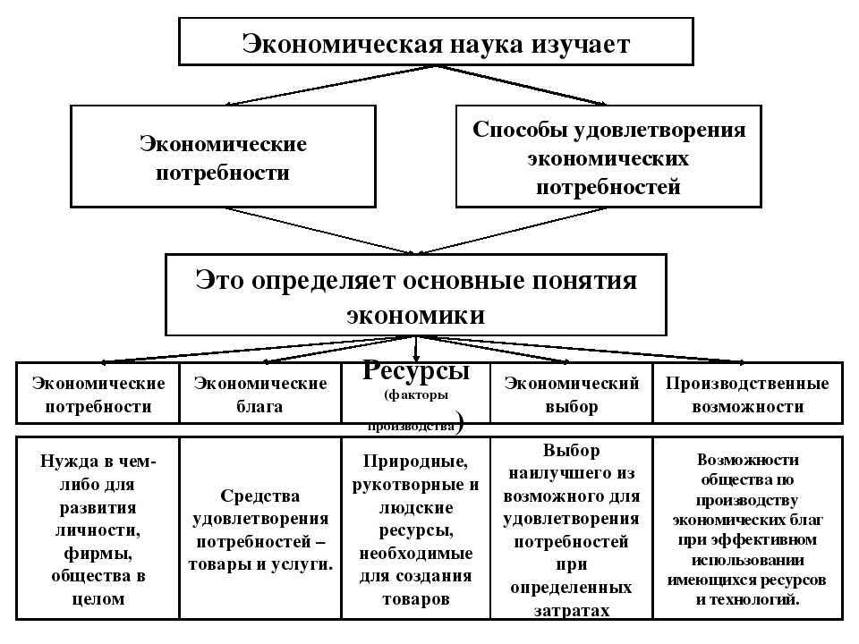 Экономика – определение кратко и понятно что это такое и что в нее входит по обществознанию