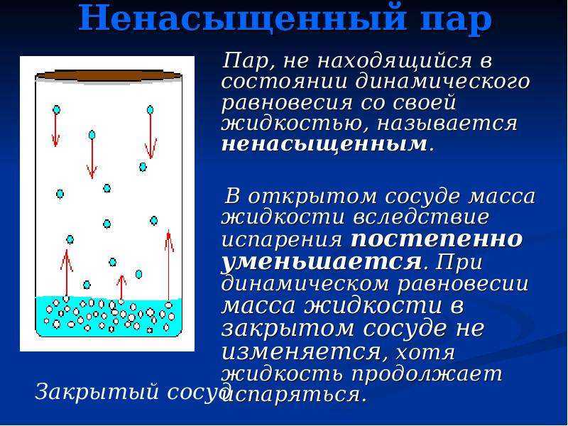 Когда наступает динамическое равновесие между паром и жидкостью?
