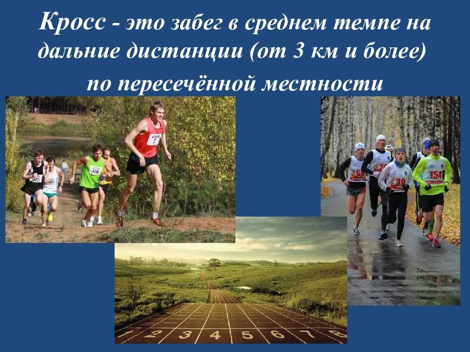 Реферат: система подготовки легкоатлетов