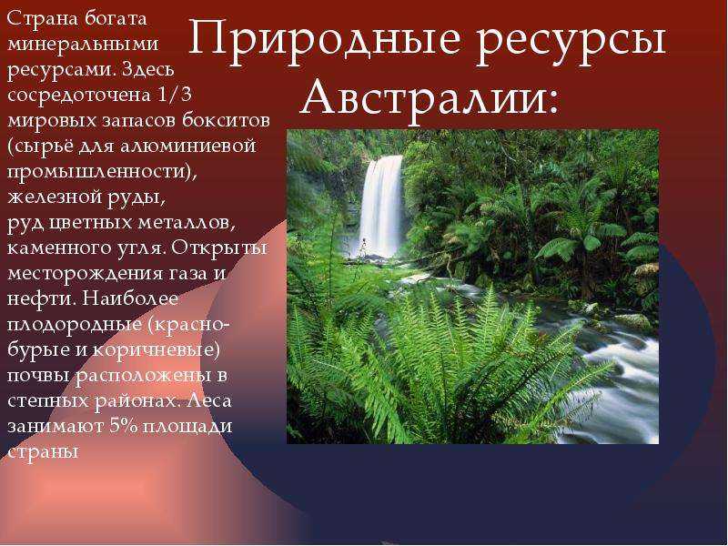 Общая характеристика австралии. полные уроки — гипермаркет знаний