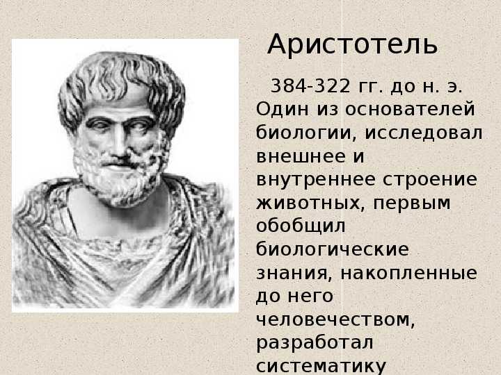 Животные аристотеля