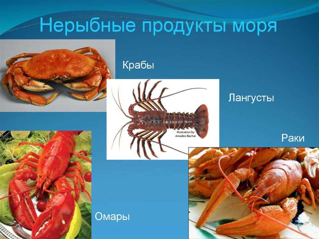 Доброкачественность рыбы: как определить органолептическим способом