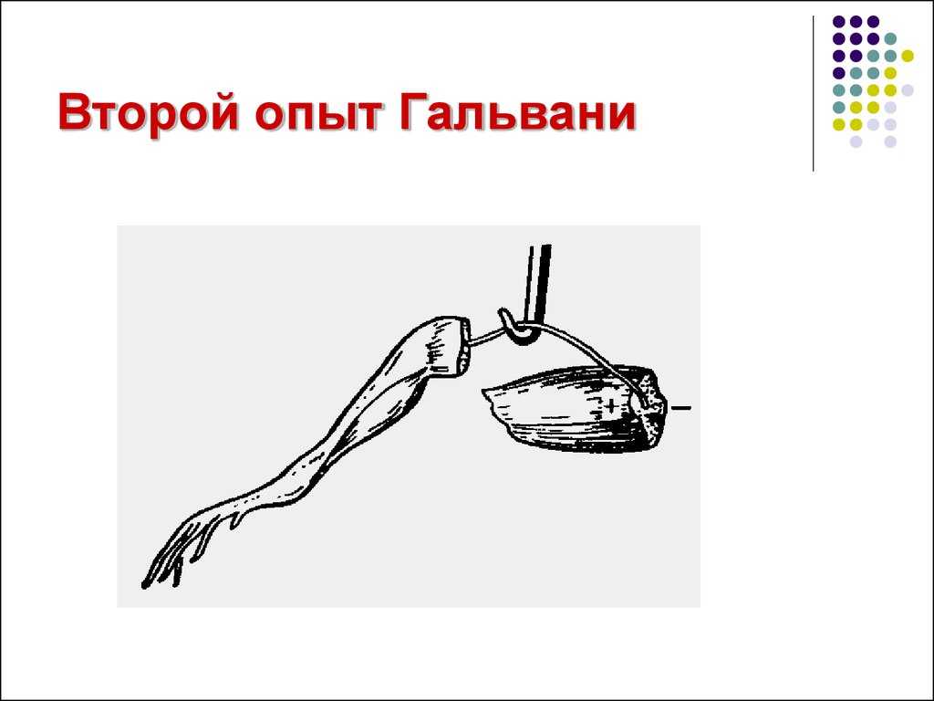 Открытия и исследования гальвани. гальвани, луиджи