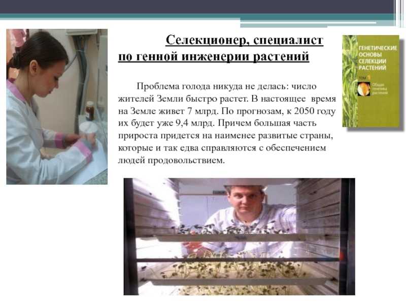 Селекционер ️ описание профессии, где учиться, зарплата, плюсы и минусы