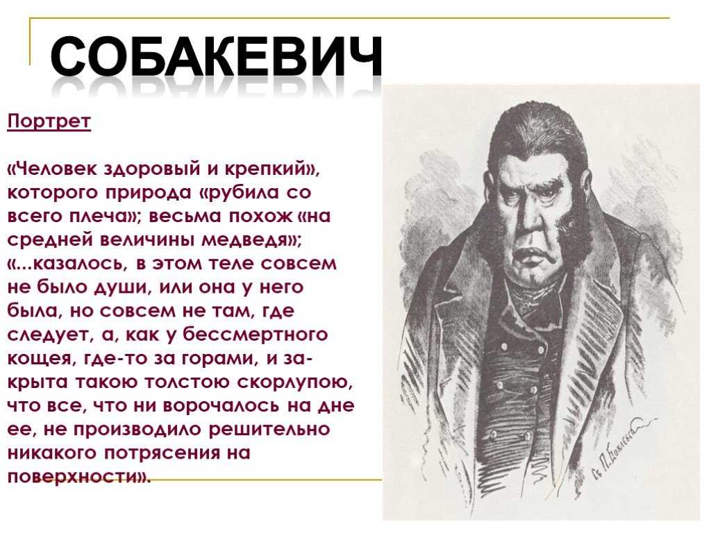 Образ и характеристика собакевича в поэме мертвые души с цитатами