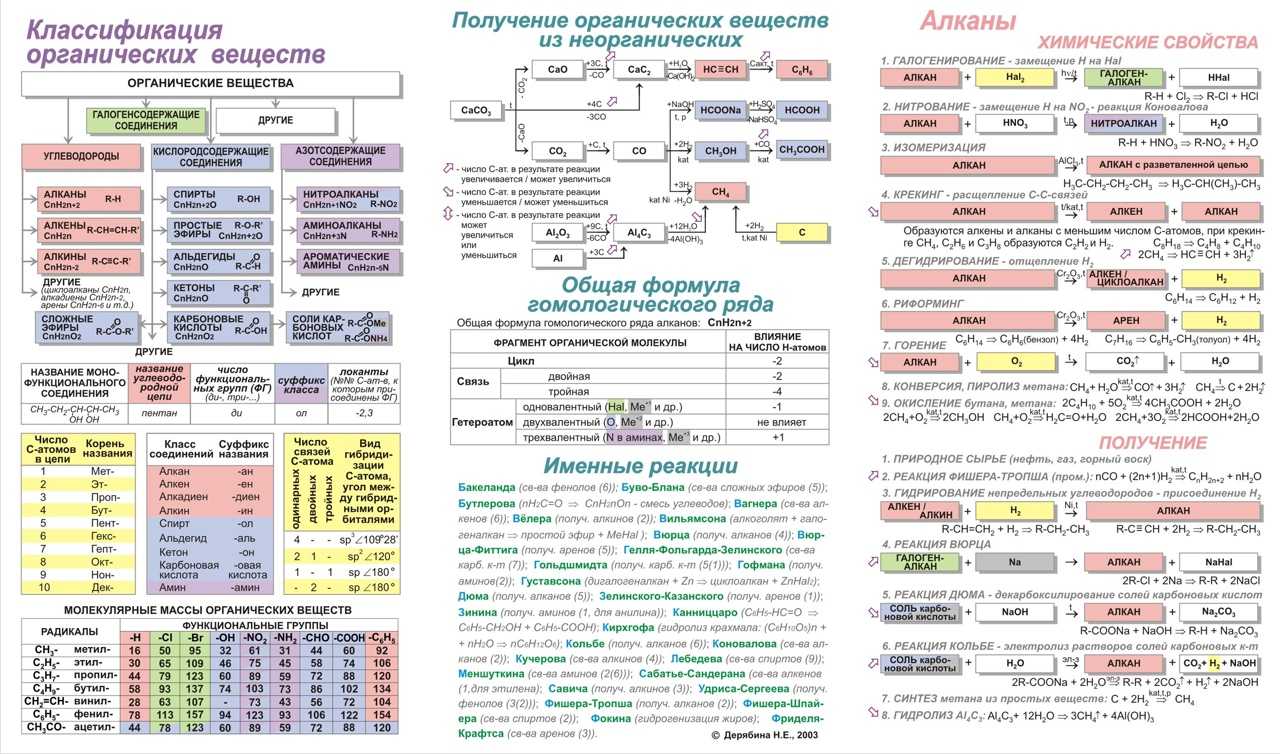 Системы органов животных (биология, 8 класс): эволюция организмов, основные функции