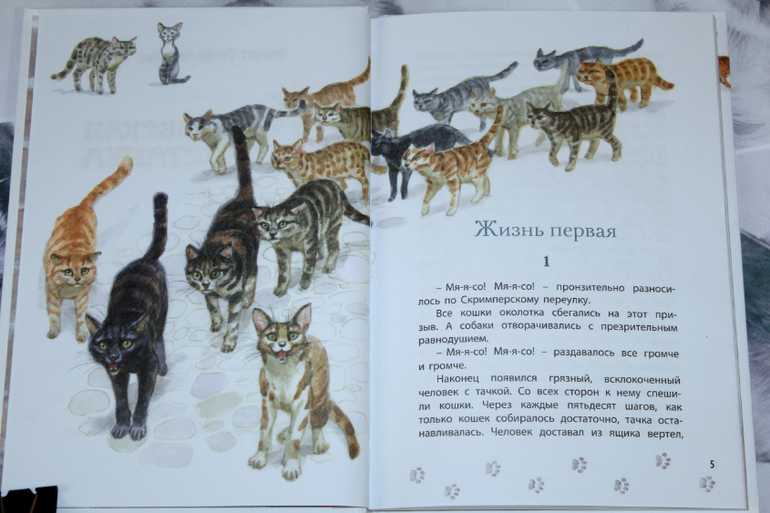 Томпсон «рассказы о животных»: краткое содержание