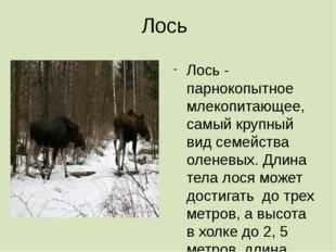 Ответы по окружающему миру, 2 класс, рабочая тетрадь, 1 часть, плешаков (школа россии)