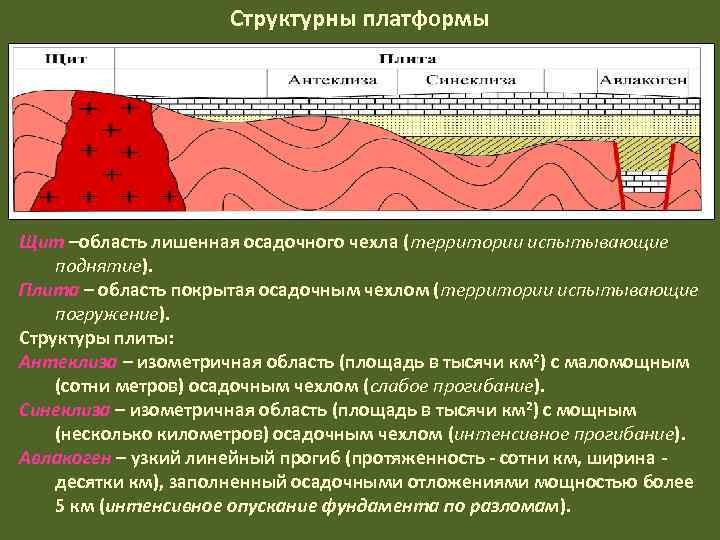 Платформа в географии 7 класс: что это такое, определение кратко