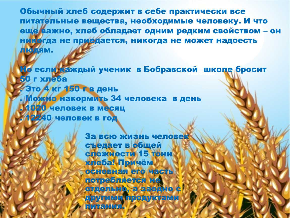 Сочинение на тему хлеб всему голова 5 класс русский язык