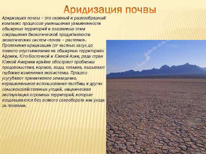 Вопросы для самоконтроля знаний студентов по дисциплине «охрана природы и заповедное дело» | контент-платформа pandia.ru