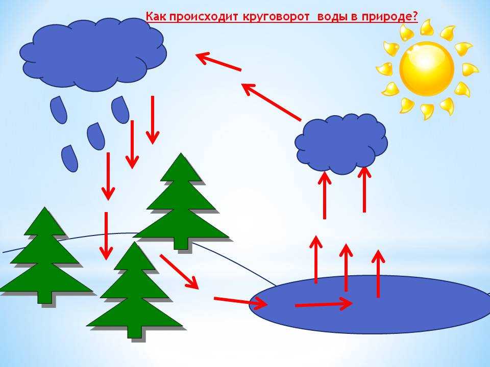 Доклад круговорот воды в природе 3, 6, 8 класс сообщение