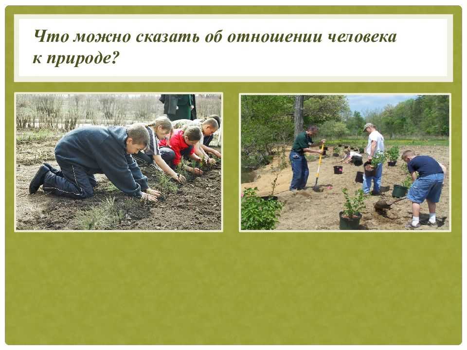Педагогические условия воспитания бережного и заботливого отношения к природе у дошкольников — novaum.ru