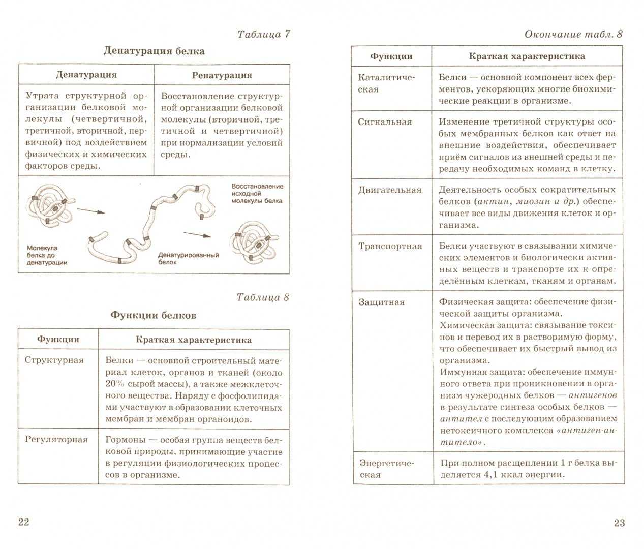 Пресноводная гидра: описание, где обитает, чем питается, размножение