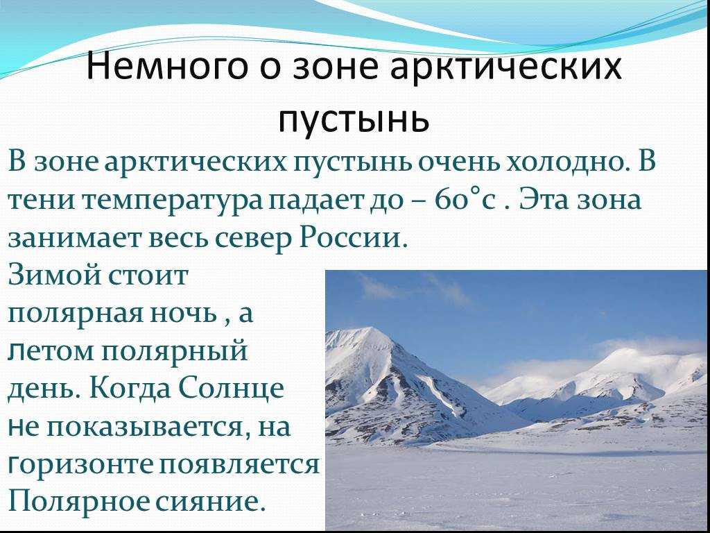 Что такое российский сектор арктики: определение и перспективы