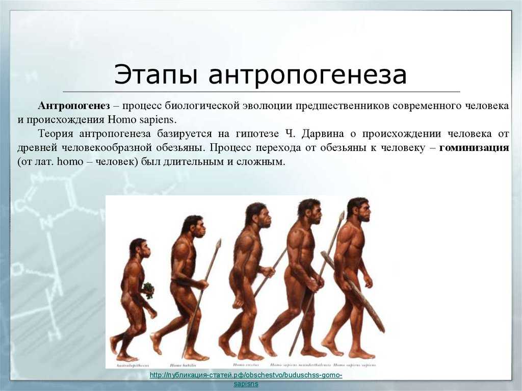 История вопроса об антропогенезе