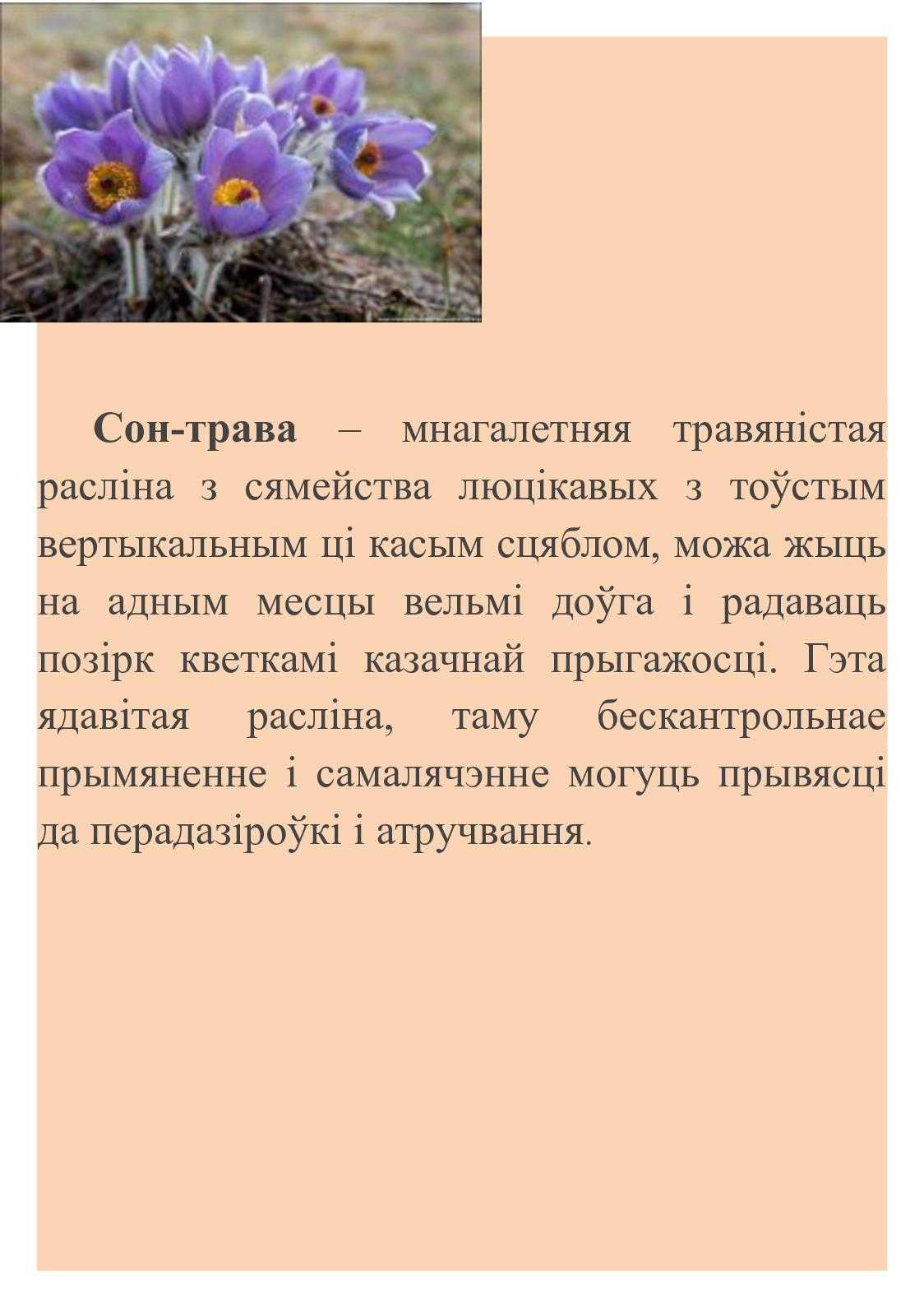 Доклад- сообщение растения краснодарского края 2, 3, 4 класс