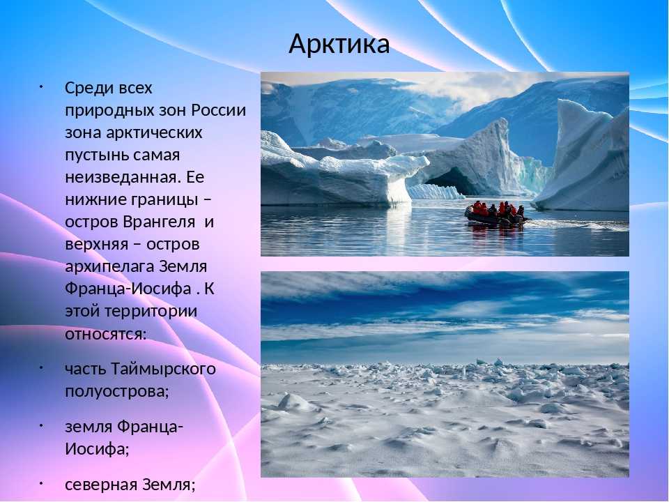 Характеристика природной зоны арктической пустыни — природа мира