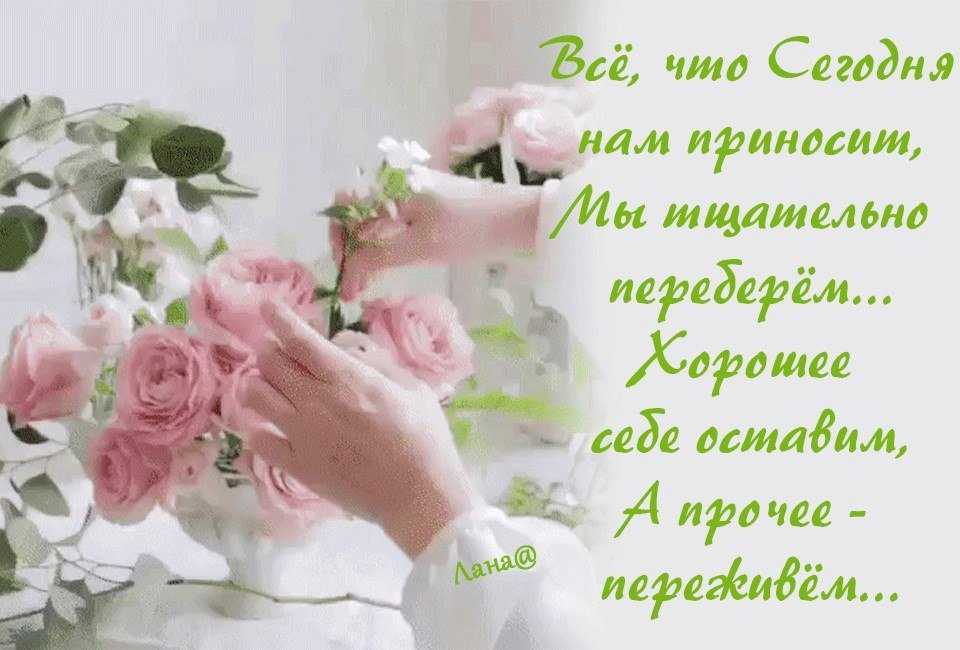 Какие подарки получила вера николаевна?