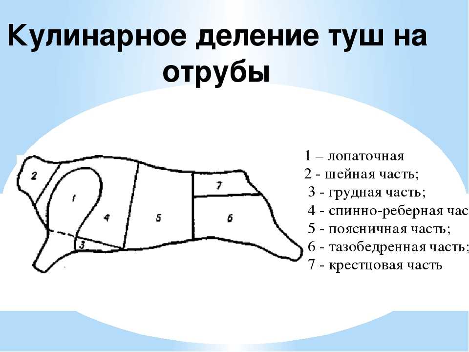 Обвалка мяса - технология переработки туш