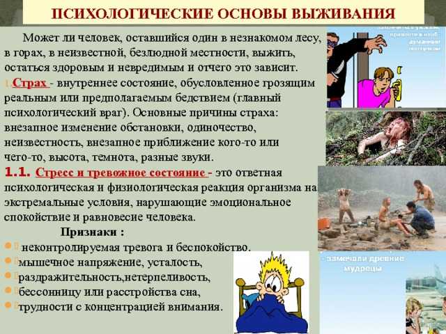 Государственное казенное учреждение новосибирской области «служба 112»