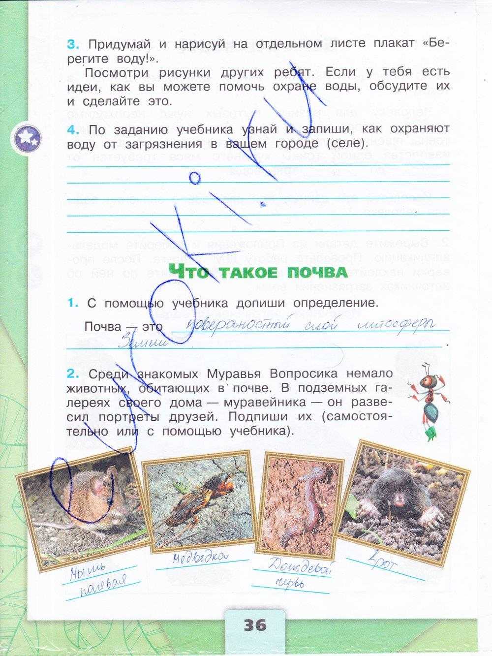 Книжка малышка своими руками 3 класс окружающий мир берегите растения