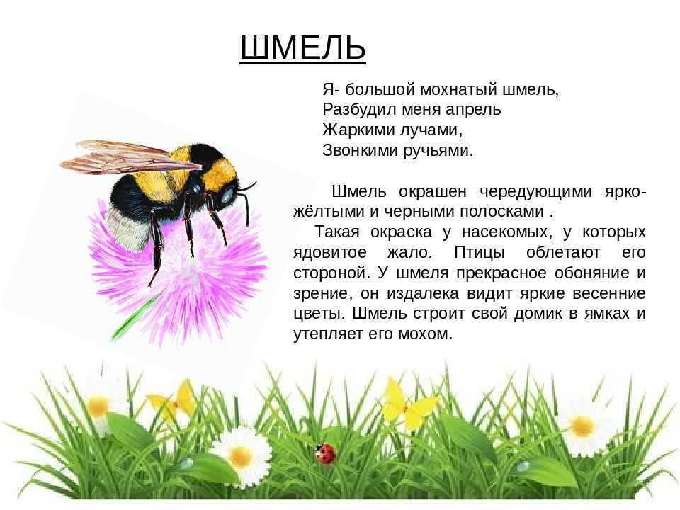 Ретрогород: сообщения, сочинения, доклады, эссе, литература