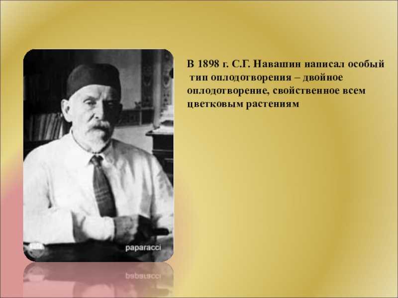 Биография навашина сергея гавриловича кратко