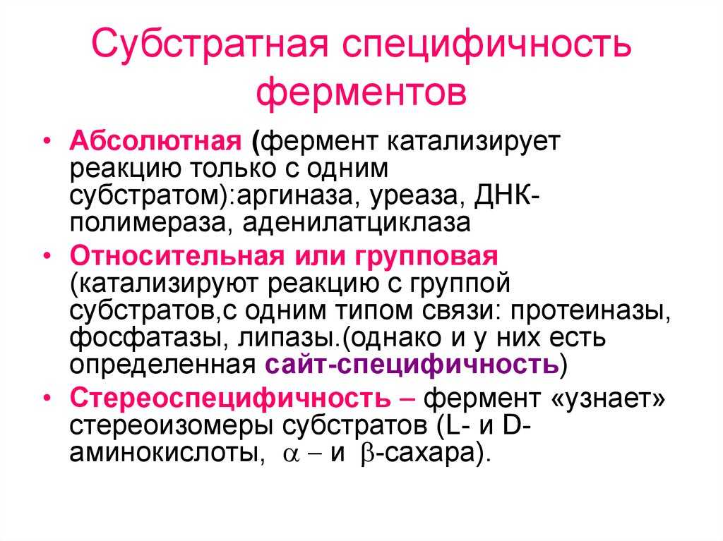 Изучение и учет биохимической  активности микроорганизмов