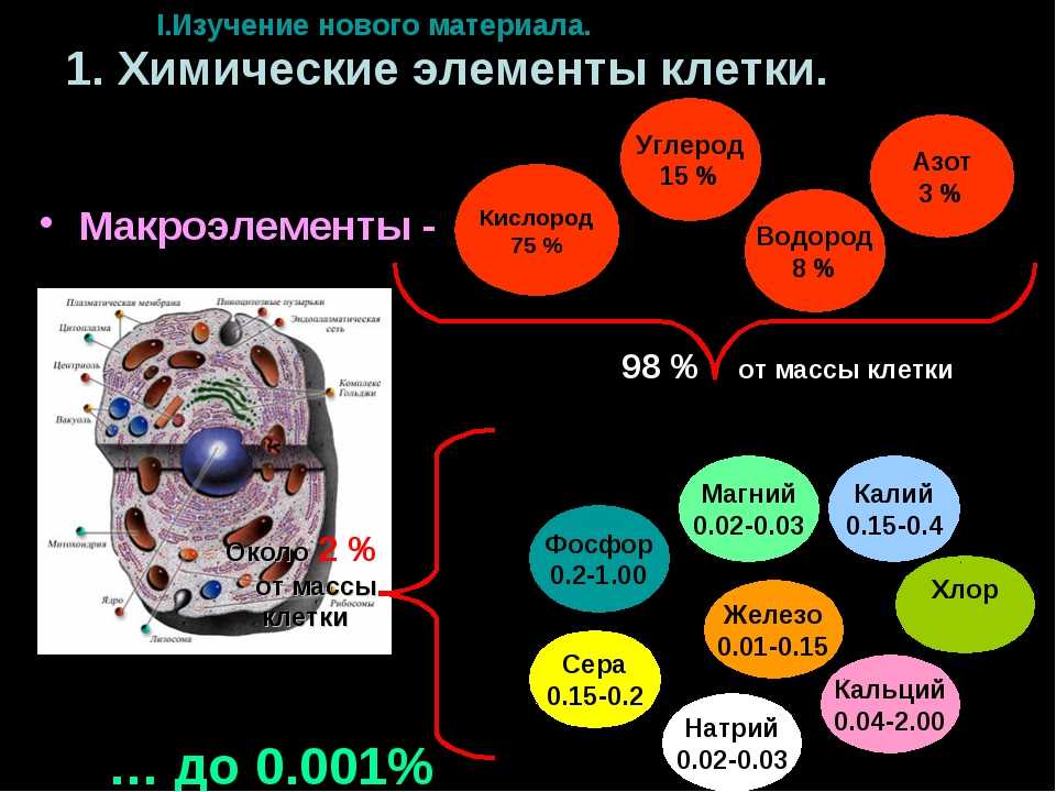 Химический состав клетки. жизнедеятельность клеток