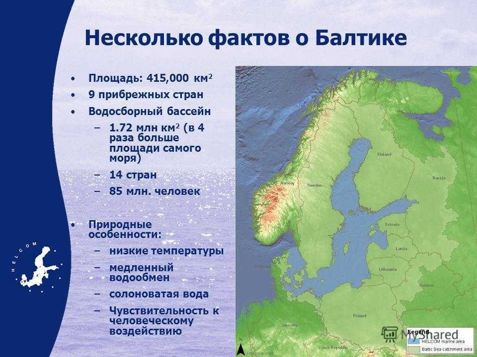 Балтийское море: краткая характеристика, описание, глубины, фото, фауна, флора