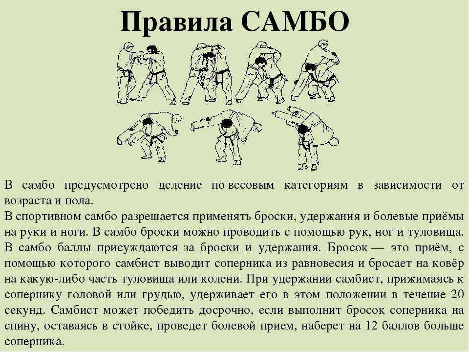 Что такое самбо география: основные принципы и техники