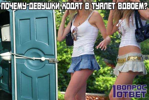 Когда девушка ходит в туалет. почему девушки ходят в туалет вдвоем? зачем женщины ходят в туалет парами