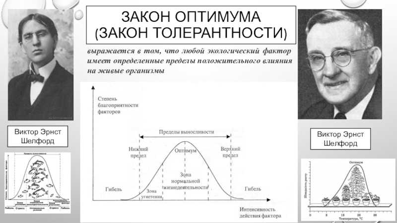 Глава 2. организм и среда. общие закономерности