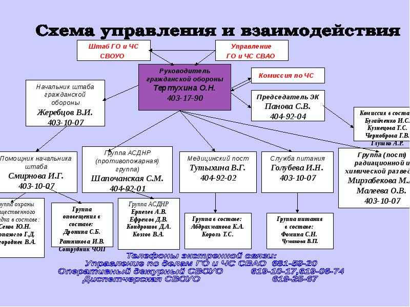 Структура штаба го в школе