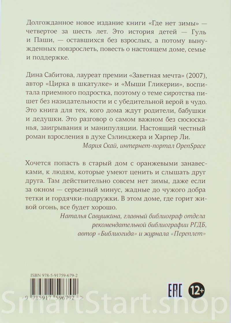 Где нет зимы дина сабитова краткое содержание по главам