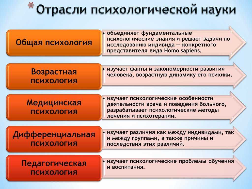 15 видов психологов и их функции - психология - 2023