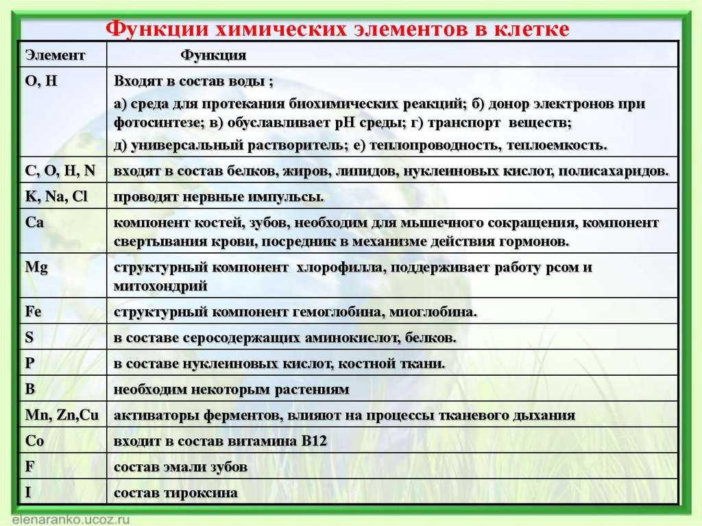 Презентация на тему: "ультрамикроэлементы химический состав клетки. химический состав клетки каждая клетка содержит множество химических элементов, участвующих в различных.". скачать бесплатно и без регистрации.
