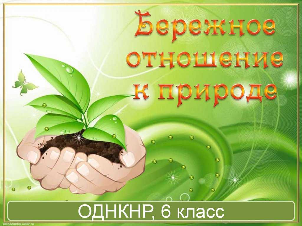 Аргументы в пользу бережного отношения к природе