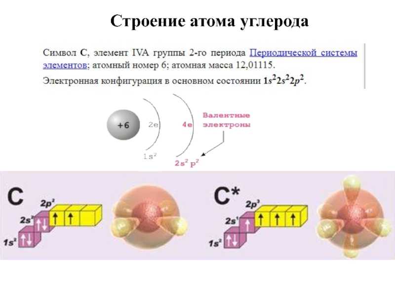 Урок 1: основы органической химии - 100urokov.ru