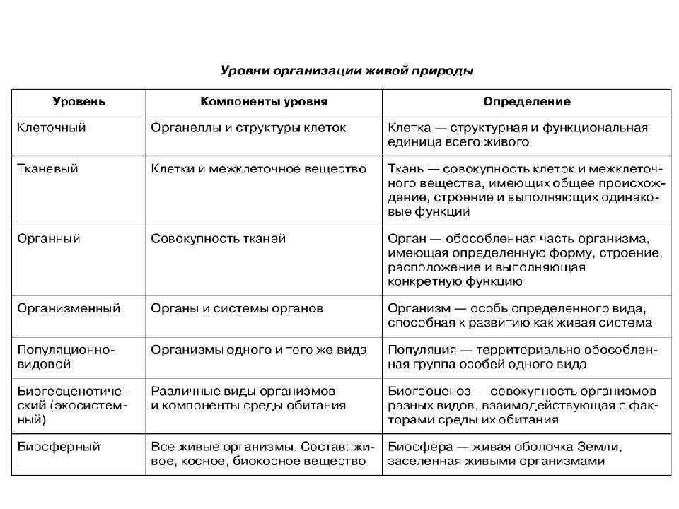Уровни организации живой природы: таблица свойства живых организмов