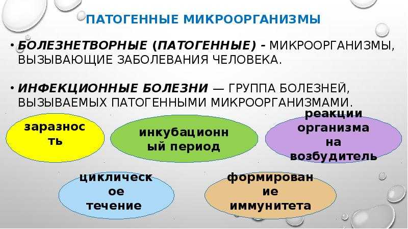 Введение. предмет и задачи медицинской микробиологии. классификация презентация, доклад, проект