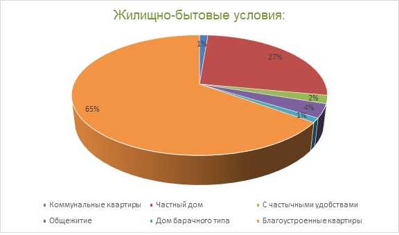 Социально бытовой статус семьи жилищные условия