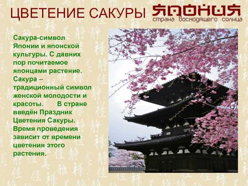 Презентация, доклад по окружающему миру на тему япония (3 класс)