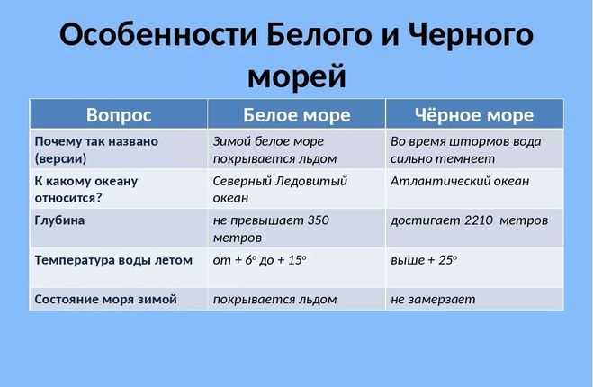 Сравнение белого и чёрного морей: особенности и различия