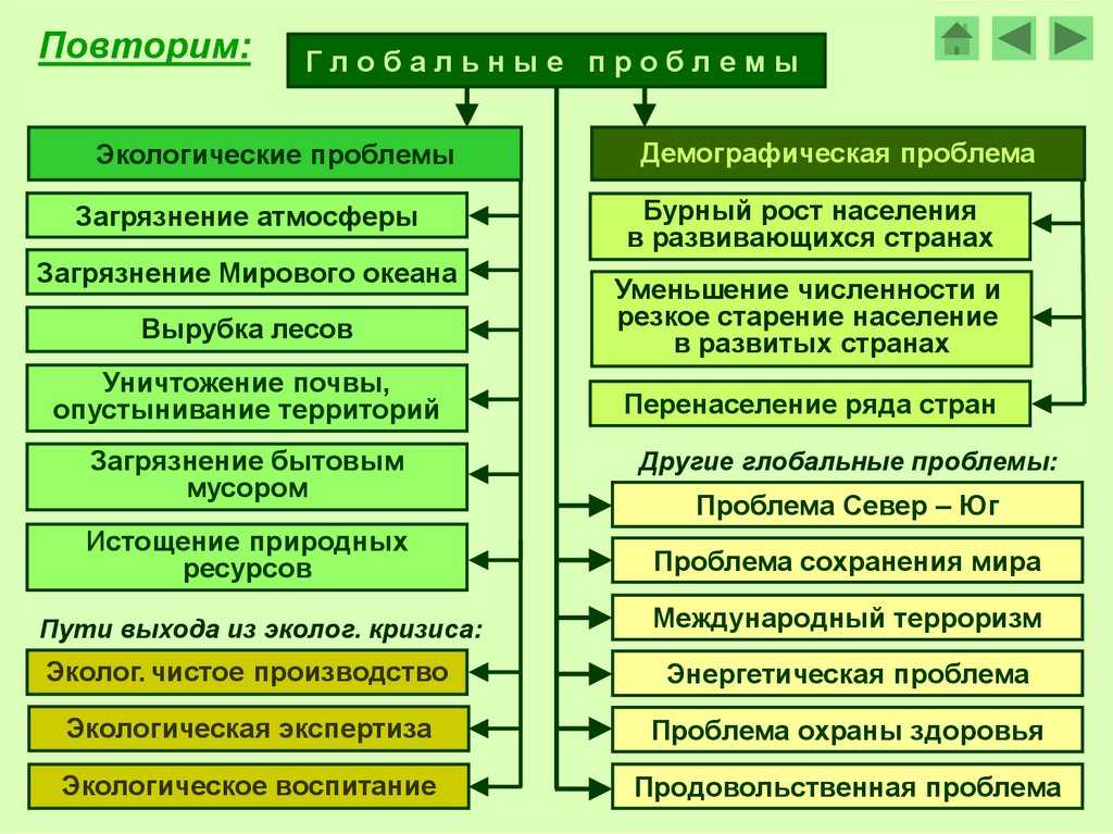Экологические проблемы планеты: виды, причины и пути решения